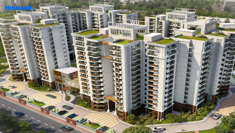 Tulsiani Urban Woods